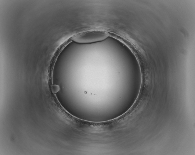 X0000112541264200908171435