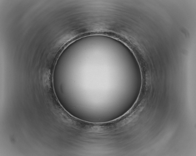 X0000112541265200908171434
