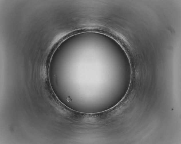 X0000112541267200908171434