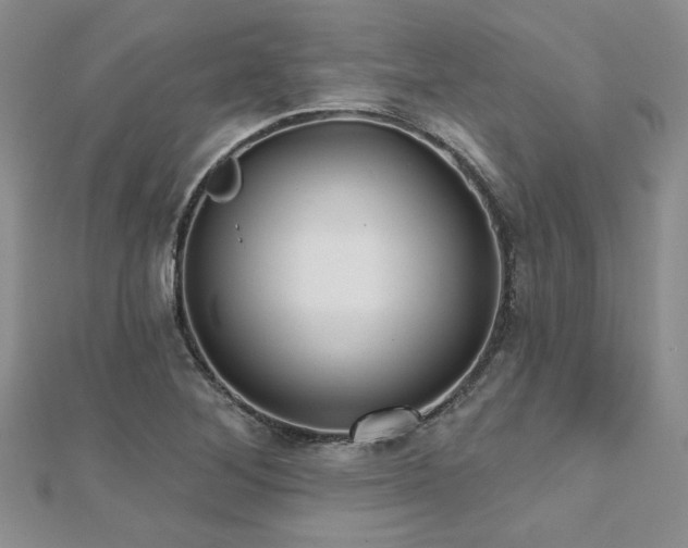 X0000112541268200908171434