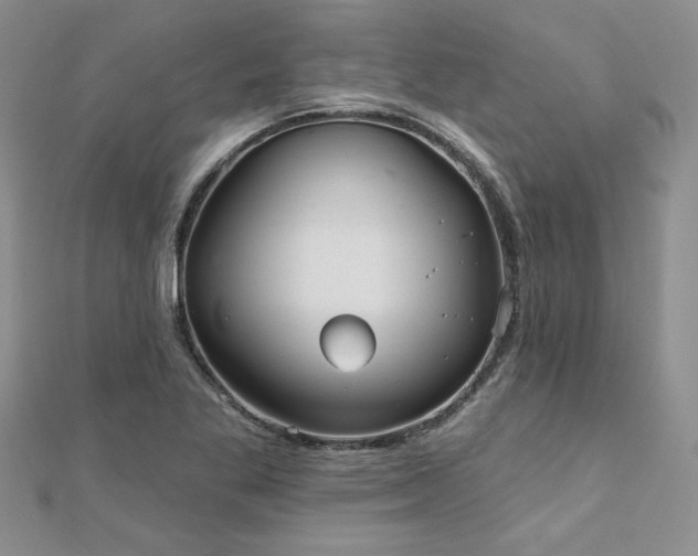 X0000112541269200908171434