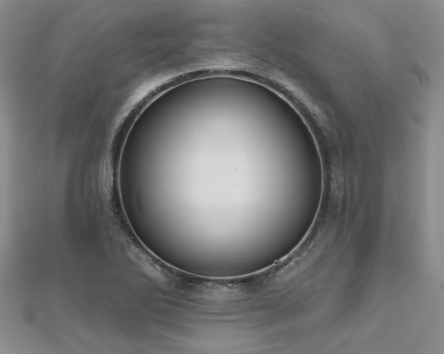 X0000112541270200908171434
