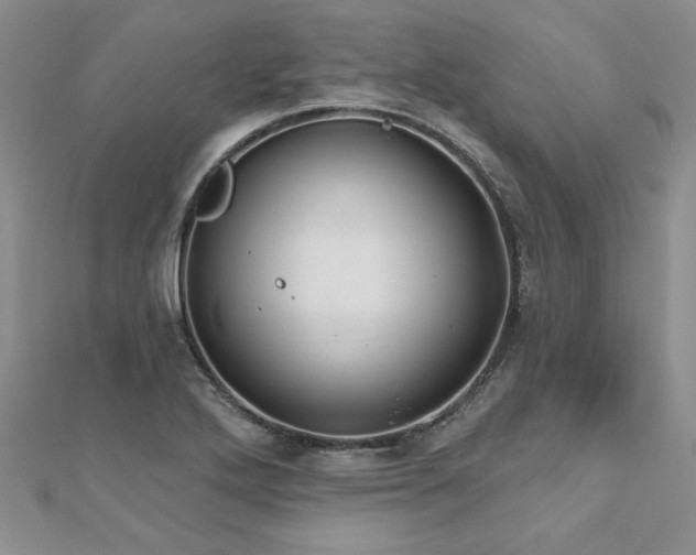 X0000112541272200908171434