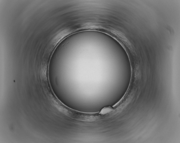 X0000112541273200908171434