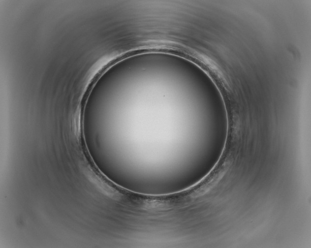X0000112541275200908171434