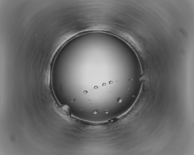 X0000112541276200908171434
