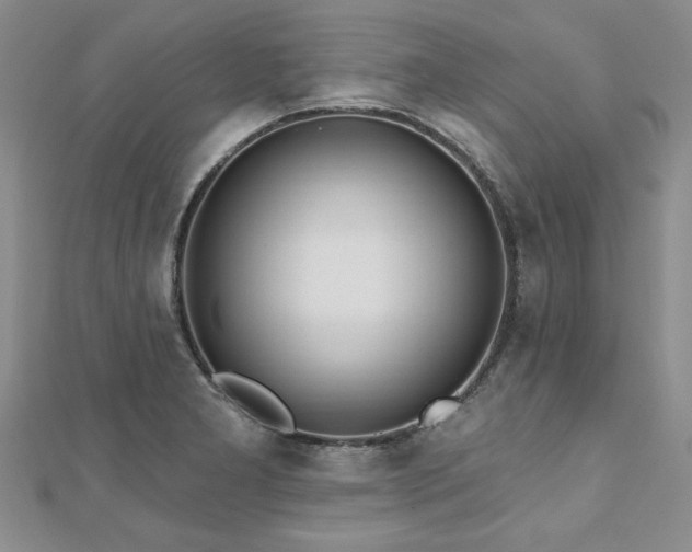 X0000112541277200908171434