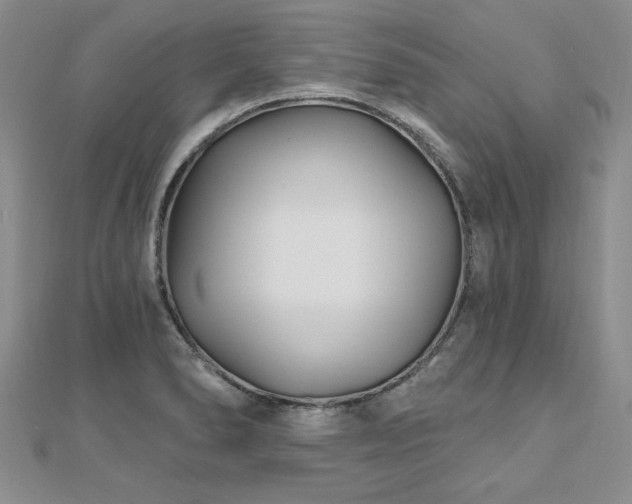 X0000112541278200908171434