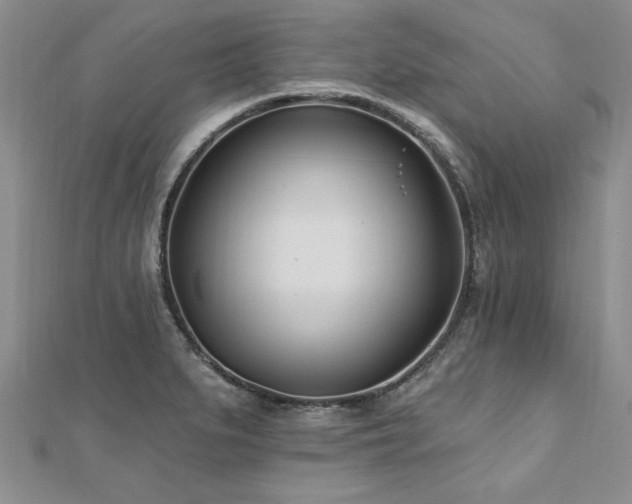 X0000112541279200908171434