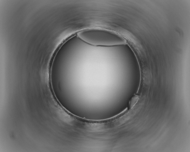 X0000112541280200908171434