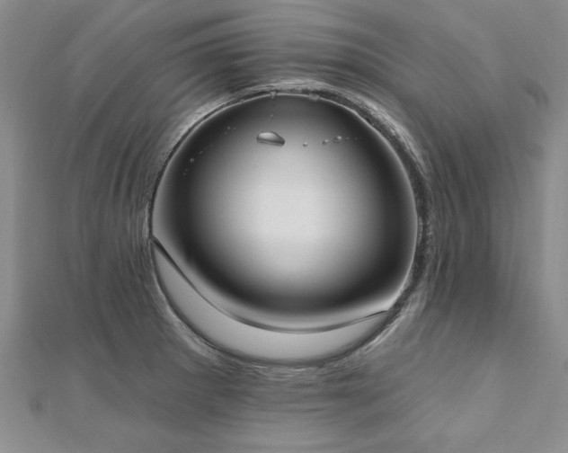 X0000112541281200908171434