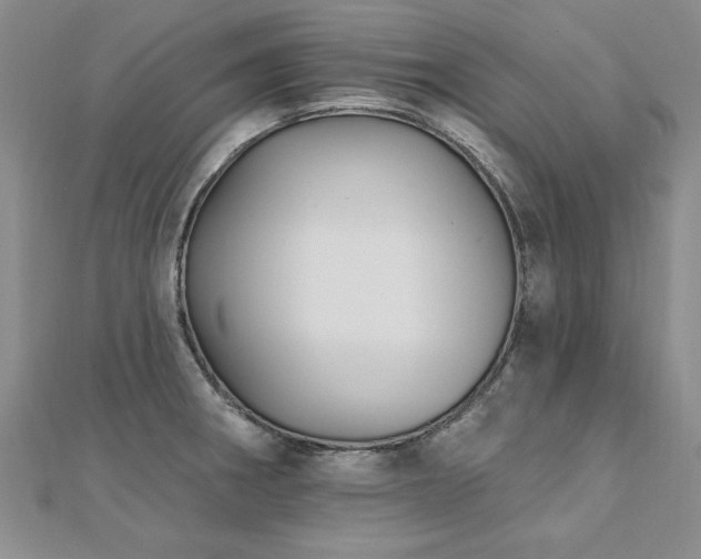 X0000112541282200908171434