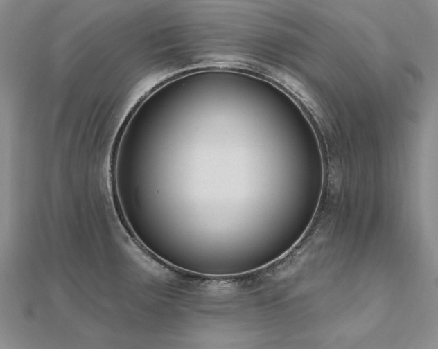 X0000112541283200908171434