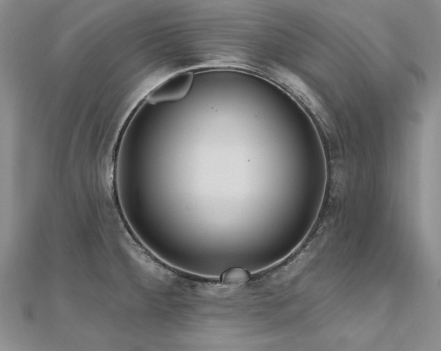 X0000112541284200908171434