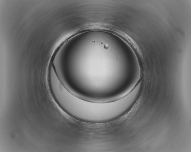 X0000112541285200908171434