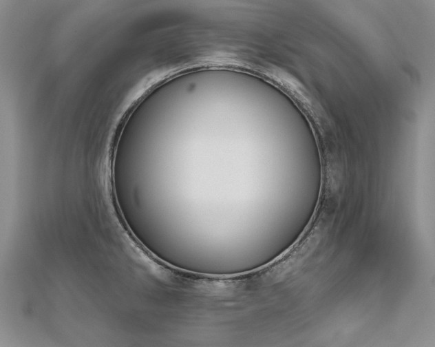 X0000112541286200908171434