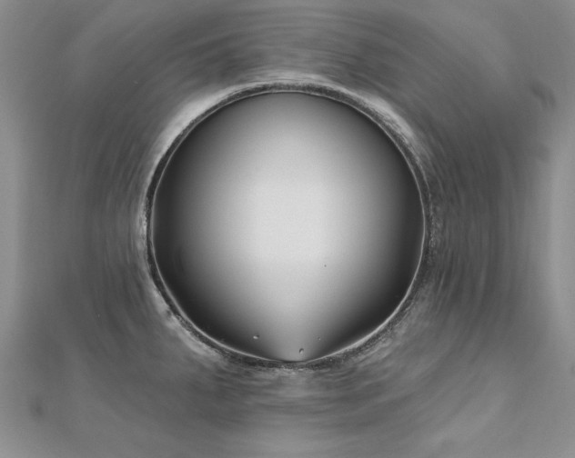 X0000112541287200908171434