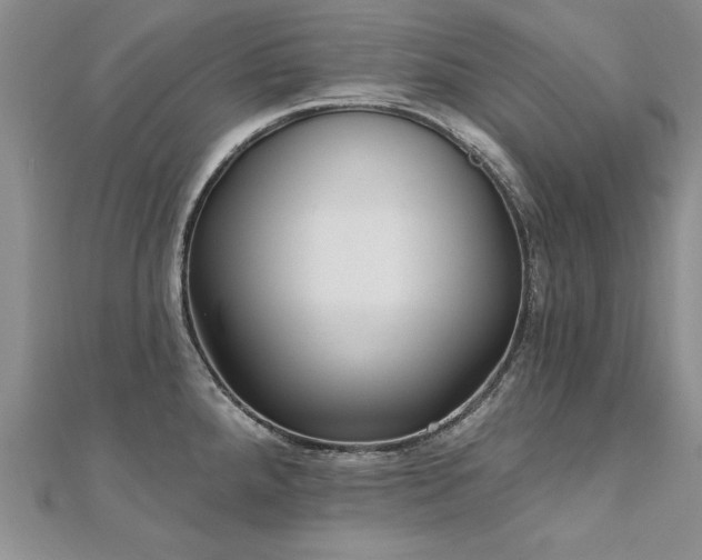 X0000112541288200908171434