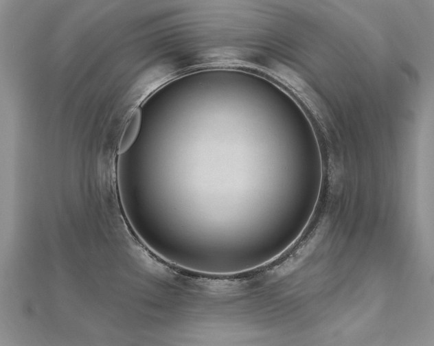 X0000112541289200908171434