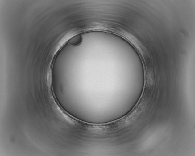 X0000112541290200908171434
