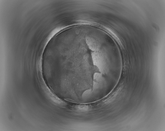 X0000112541291200908171434