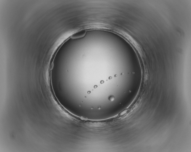 X0000112541293200908171434