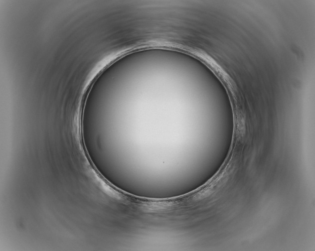 X0000112541294200908171434