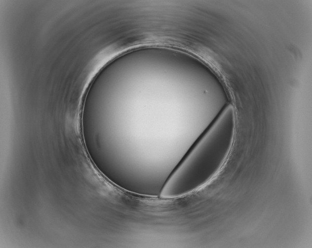 X0000112541296200908171434