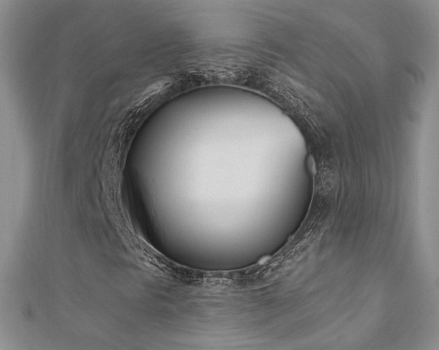X0000112541297200908171433