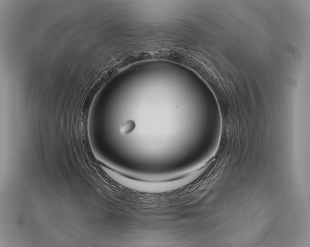 X0000112541298200908171433