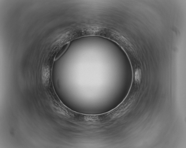 X0000112541299200908171434