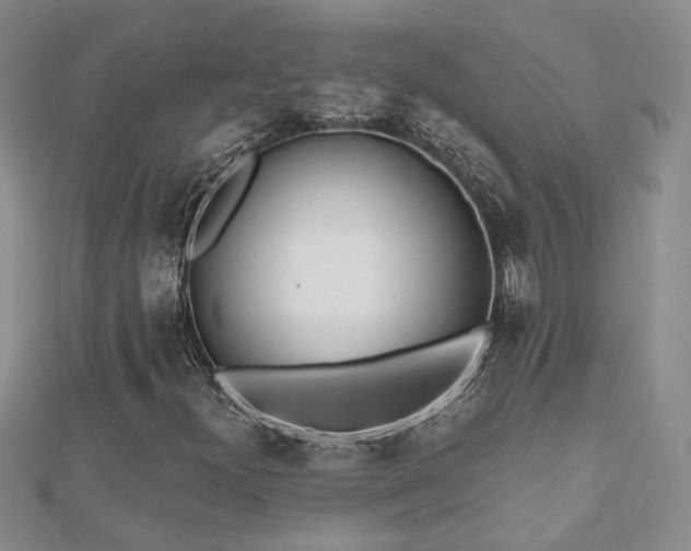 X0000112541300200908171434