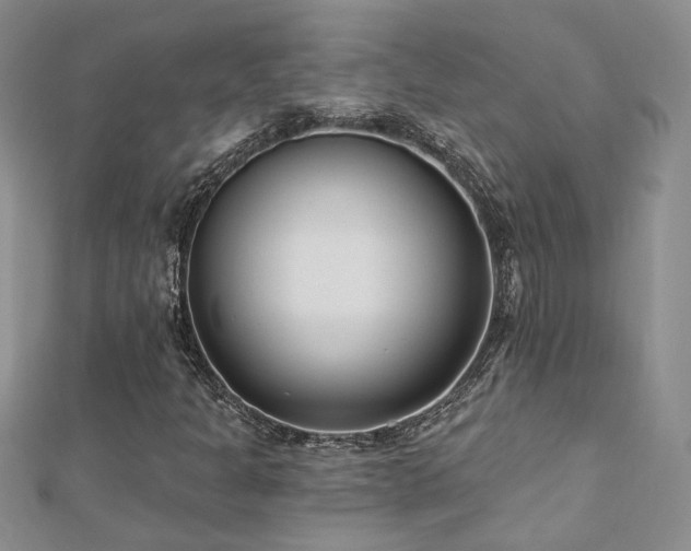 X0000112541301200908171434