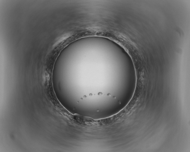 X0000112541302200908171434