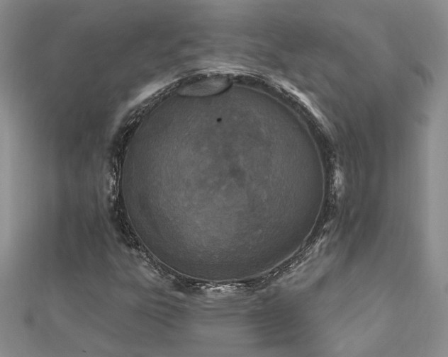 X0000112541303200908171434