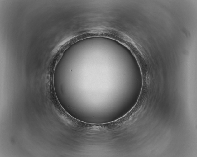 X0000112541304200908171434