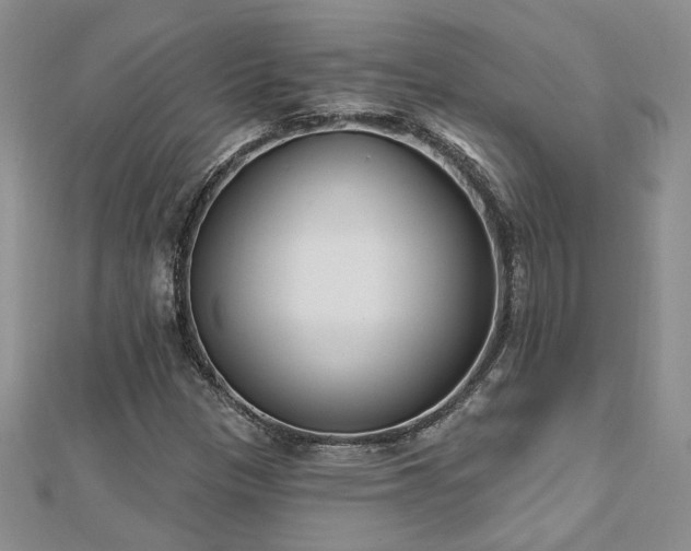 X0000112541305200908171434