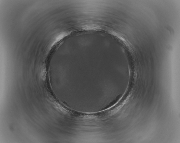 X0000112541306200908171434