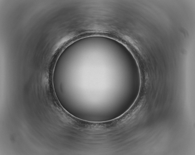 X0000112541307200908171434