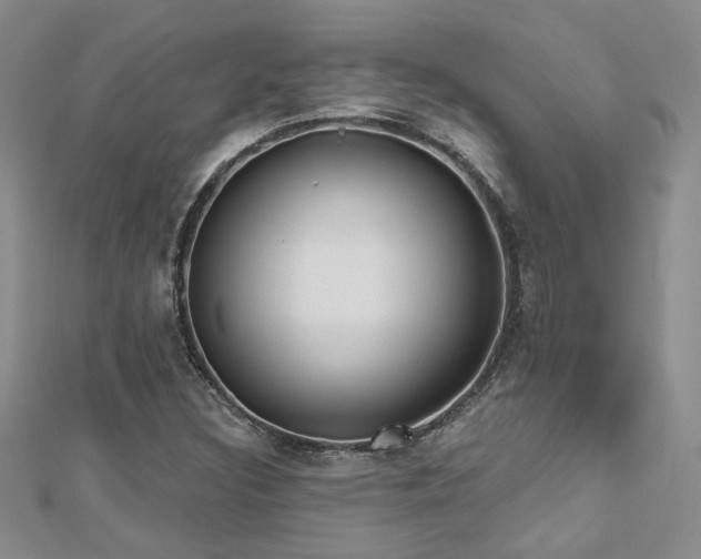 X0000112541308200908171434