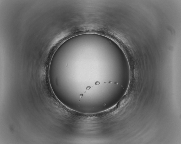 X0000112541309200908171434