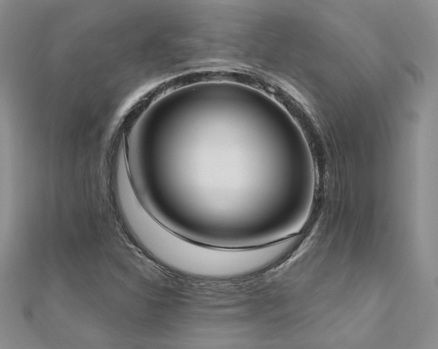 X0000112541310200908171434