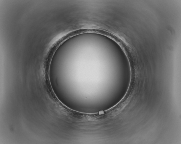 X0000112541311200908171434