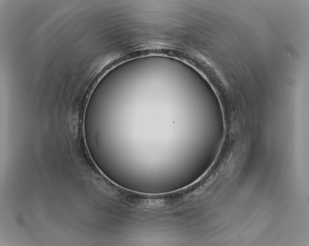 X0000112541313200908171434