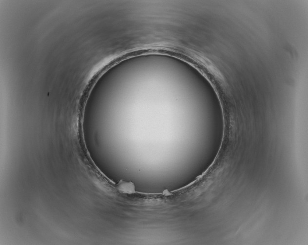 X0000112541316200908171434