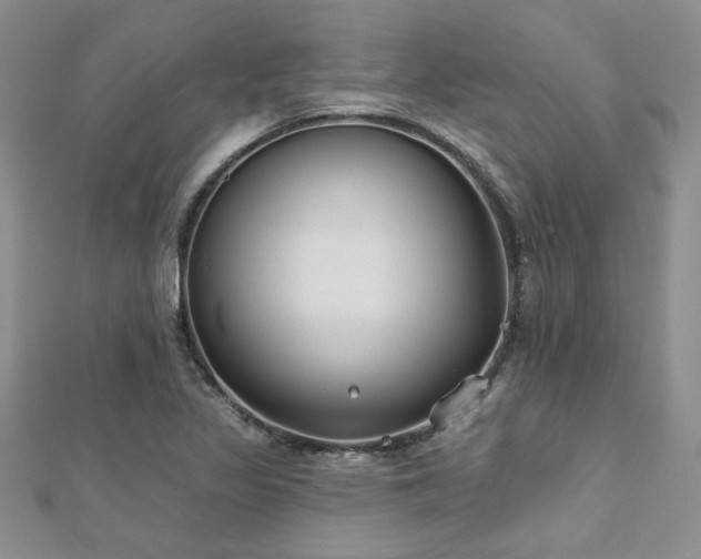 X0000112541317200908171434