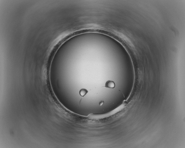X0000112541318200908171434