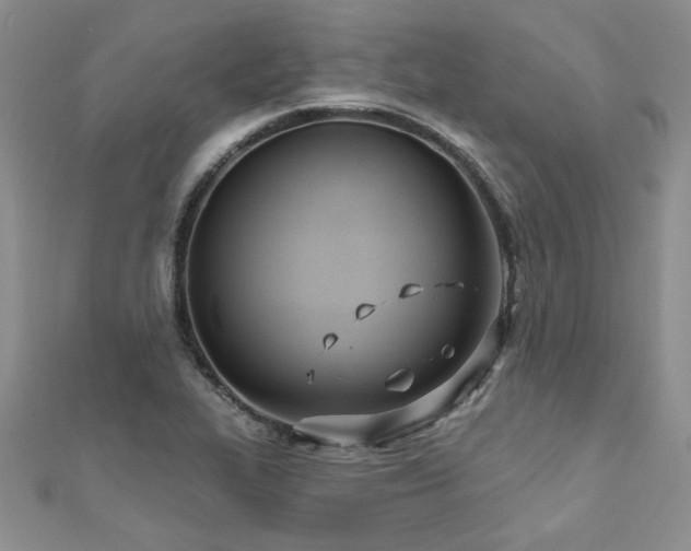 X0000112541319200908171434