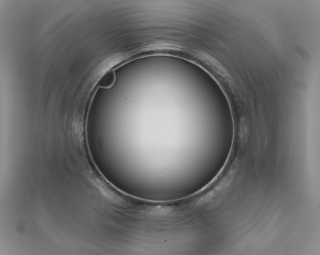 X0000112541321200908171434