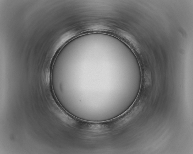 X0000112541322200908171434